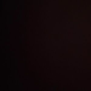 Meet your Posher, Tamara